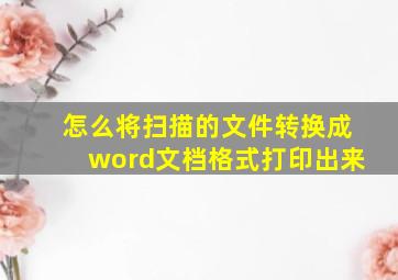 怎么将扫描的文件转换成word文档格式打印出来