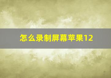 怎么录制屏幕苹果12