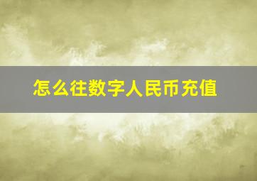 怎么往数字人民币充值