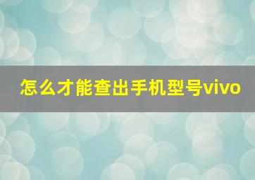 怎么才能查出手机型号vivo