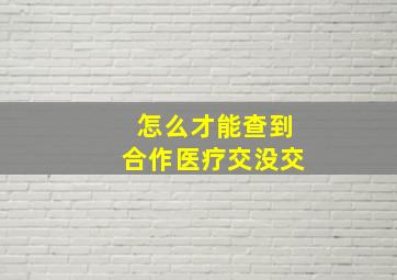 怎么才能查到合作医疗交没交