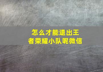 怎么才能退出王者荣耀小队呢微信