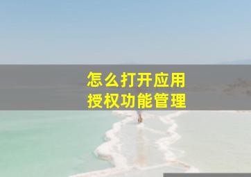 怎么打开应用授权功能管理