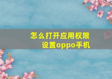 怎么打开应用权限设置oppo手机