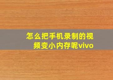 怎么把手机录制的视频变小内存呢vivo