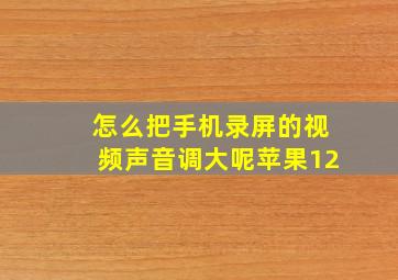 怎么把手机录屏的视频声音调大呢苹果12