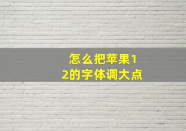 怎么把苹果12的字体调大点