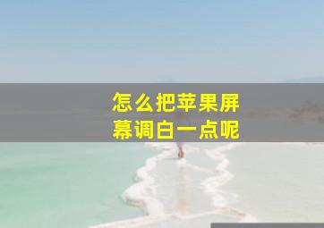 怎么把苹果屏幕调白一点呢