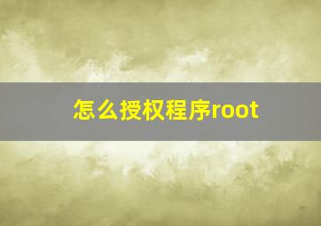 怎么授权程序root