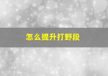 怎么提升打野段