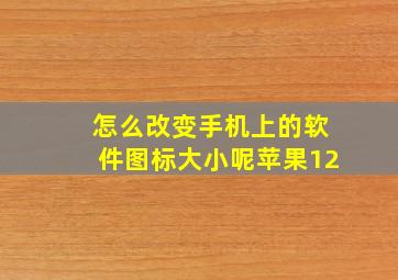 怎么改变手机上的软件图标大小呢苹果12