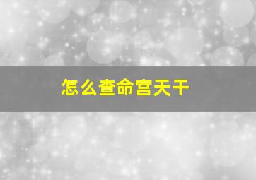 怎么查命宫天干