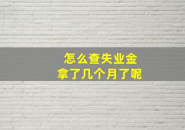 怎么查失业金拿了几个月了呢