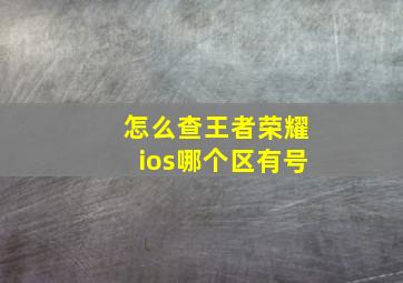 怎么查王者荣耀ios哪个区有号