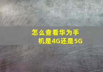 怎么查看华为手机是4G还是5G