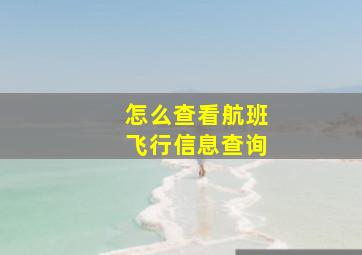 怎么查看航班飞行信息查询