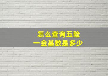 怎么查询五险一金基数是多少