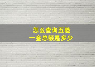 怎么查询五险一金总额是多少