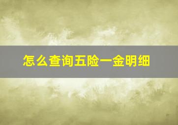 怎么查询五险一金明细