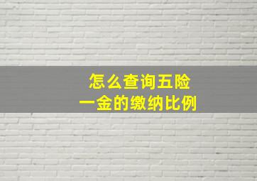 怎么查询五险一金的缴纳比例