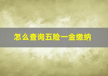 怎么查询五险一金缴纳