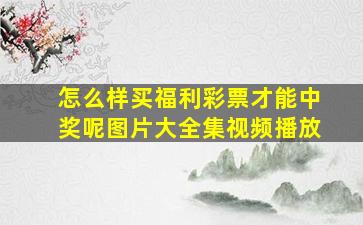 怎么样买福利彩票才能中奖呢图片大全集视频播放