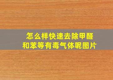 怎么样快速去除甲醛和苯等有毒气体呢图片