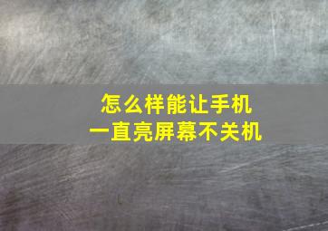 怎么样能让手机一直亮屏幕不关机