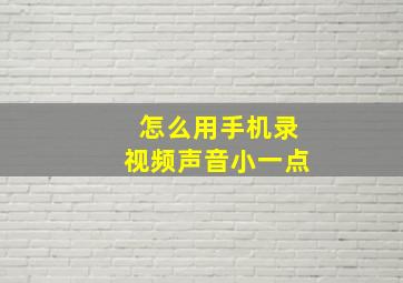 怎么用手机录视频声音小一点