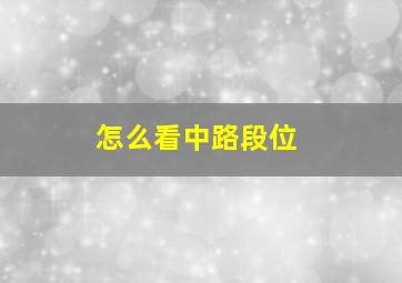 怎么看中路段位