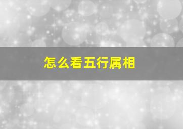 怎么看五行属相