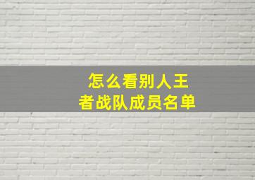 怎么看别人王者战队成员名单