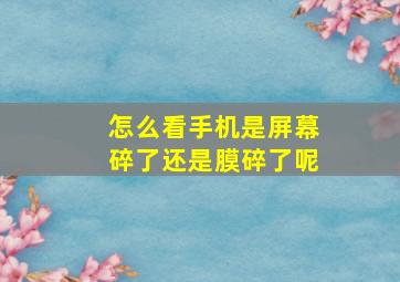 怎么看手机是屏幕碎了还是膜碎了呢