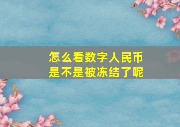 怎么看数字人民币是不是被冻结了呢