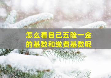 怎么看自己五险一金的基数和缴费基数呢