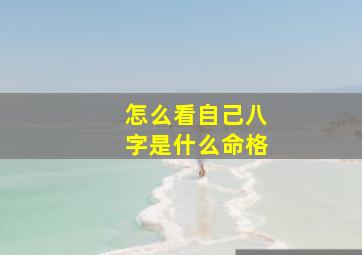 怎么看自己八字是什么命格