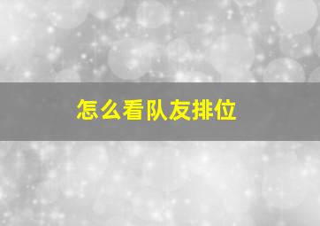 怎么看队友排位