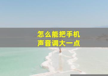 怎么能把手机声音调大一点