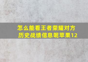 怎么能看王者荣耀对方历史战绩信息呢苹果12