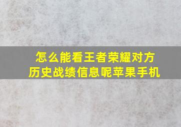 怎么能看王者荣耀对方历史战绩信息呢苹果手机