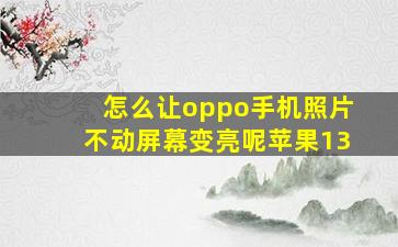 怎么让oppo手机照片不动屏幕变亮呢苹果13