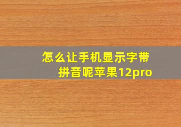 怎么让手机显示字带拼音呢苹果12pro