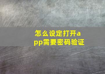 怎么设定打开app需要密码验证