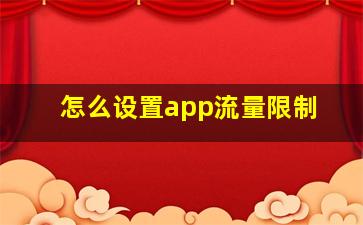 怎么设置app流量限制