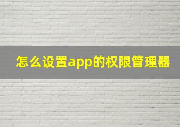 怎么设置app的权限管理器