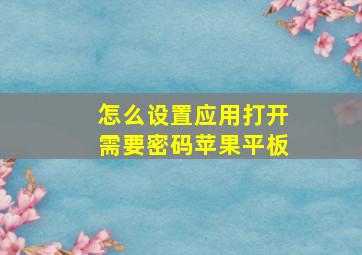 怎么设置应用打开需要密码苹果平板