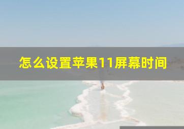 怎么设置苹果11屏幕时间