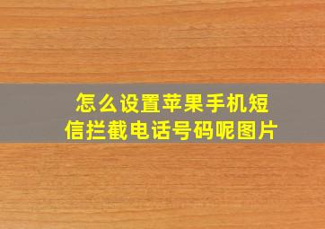 怎么设置苹果手机短信拦截电话号码呢图片