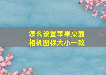 怎么设置苹果桌面相机图标大小一致