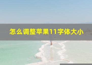 怎么调整苹果11字体大小